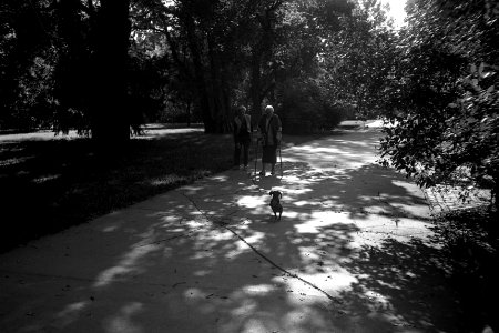 Elikon 35S - Sunday Street Stroll 1