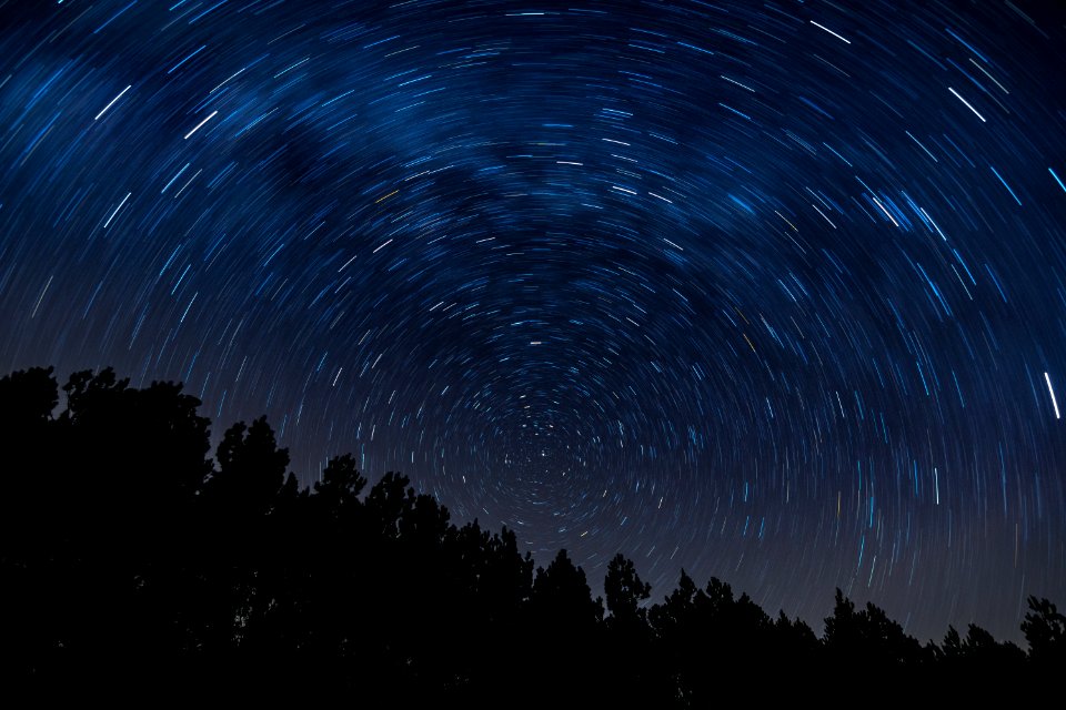 Star Trails over Georgia photo