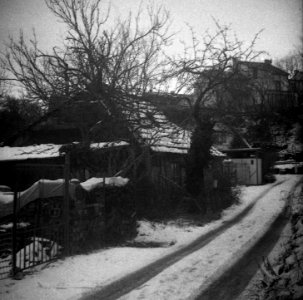 Altix I - Písečník Colony 01