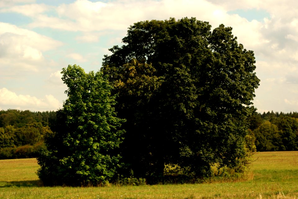 Sony Alpha A230 with Helios-44-2 - Moravian Karst Landscape 02
