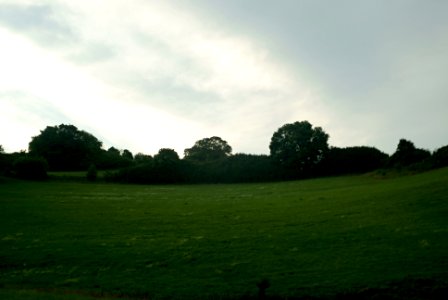 Sony Alpha A230 with MIR-1V- Evening Landscape