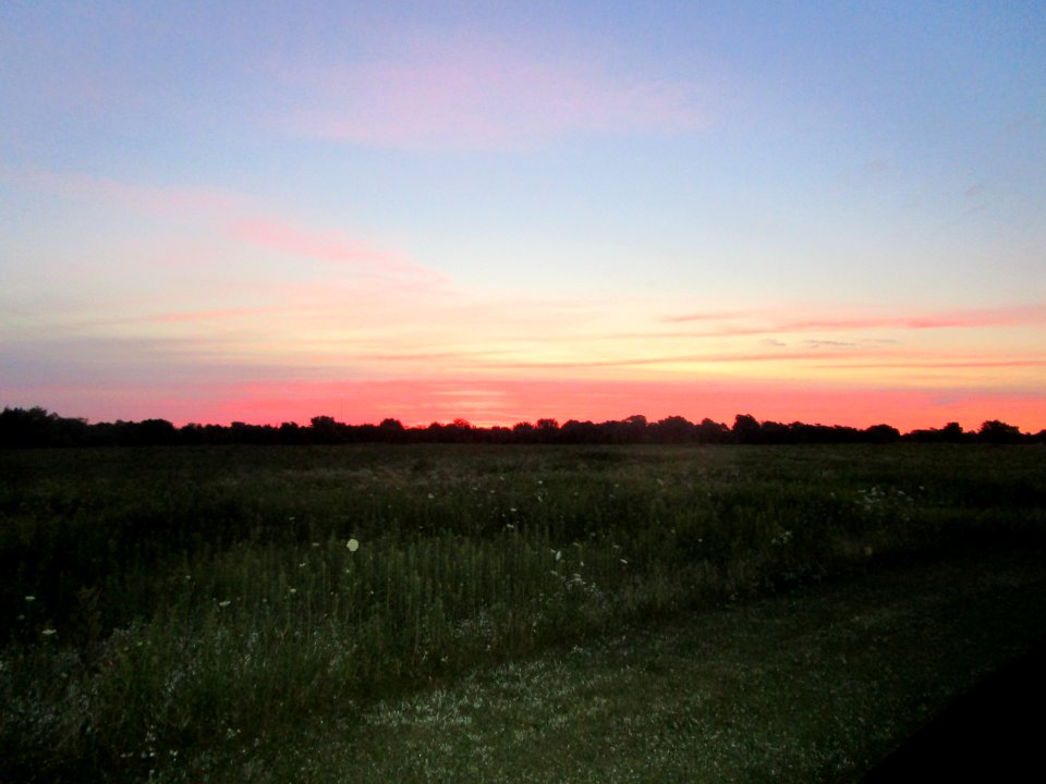 IMG 2286 Perry Farm Prairie IL 7-17-2016