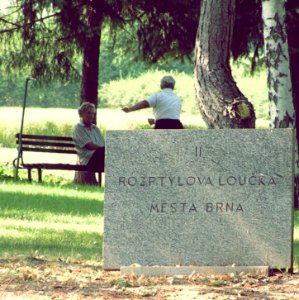 People on Cemetery