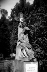 Holga 120FN - Gravestone 3