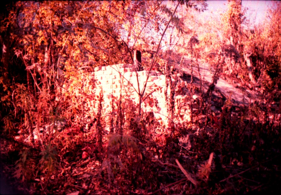 Praktica MTL 3 with Helios 44-2 - Another World 01