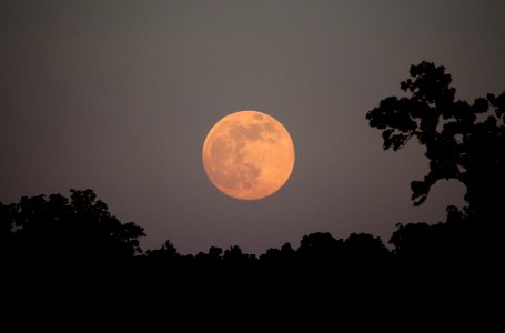 Full Moon Rising Over Northwest Georgia on June 22nd, 2013 photo