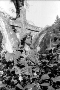 Praktica MTL 5 with Industar-61L/Z-MC - Gravestone Angel 1