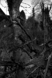 Contax D + Industar-61 L/Z - Old Fence 2