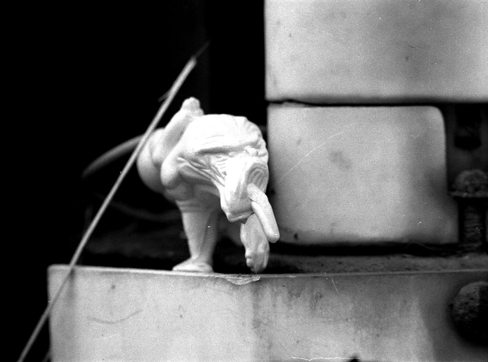 Ricoh TLS 401 with Helios 44-2 - Little Inhabitants of Abandoned Places 12