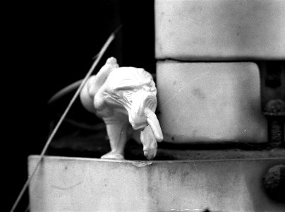 Ricoh TLS 401 with Helios 44-2 - Little Inhabitants of Abandoned Places 12