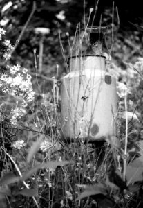 Zenit 11 - Melancholy Garden 07