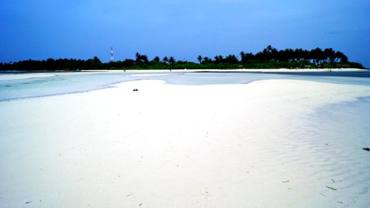 DSC02213