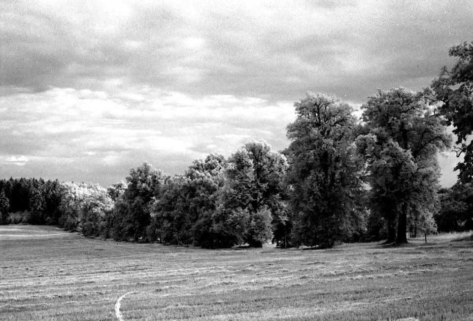 Canon EOS 30 with Canon EF 50mm f/1,8 II - Nové Dvory Avenue 03