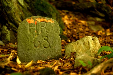 Sony Alpha A230 with Helios-44-2 - From Moravian Karst Forests 08
