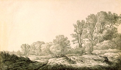 Landscape with a Road on the Edge of a Forest photo