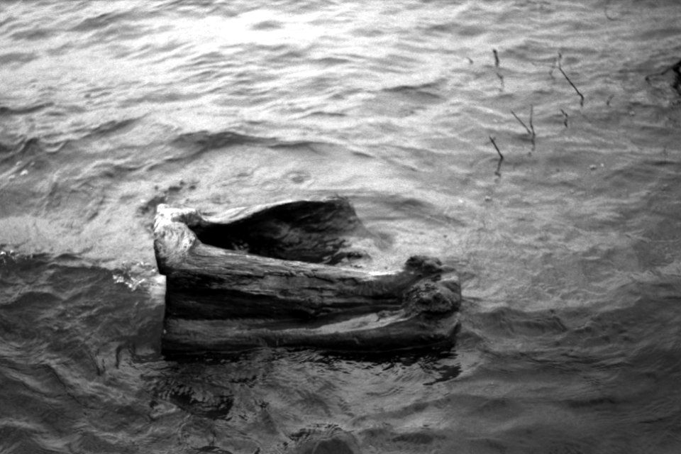 Praktica BC1 - Piece of Wood in the Waves 01