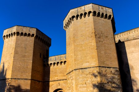 Porta Reial (s. XIV)
