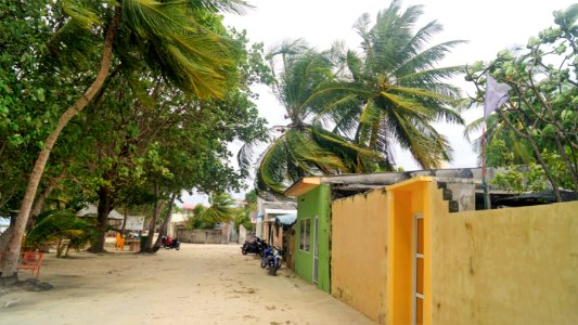 DSC01973