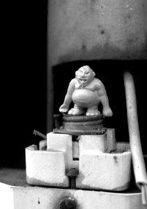 Ricoh TLS 401 with Helios 44-2 - Little Inhabitants of Abandoned Places 10