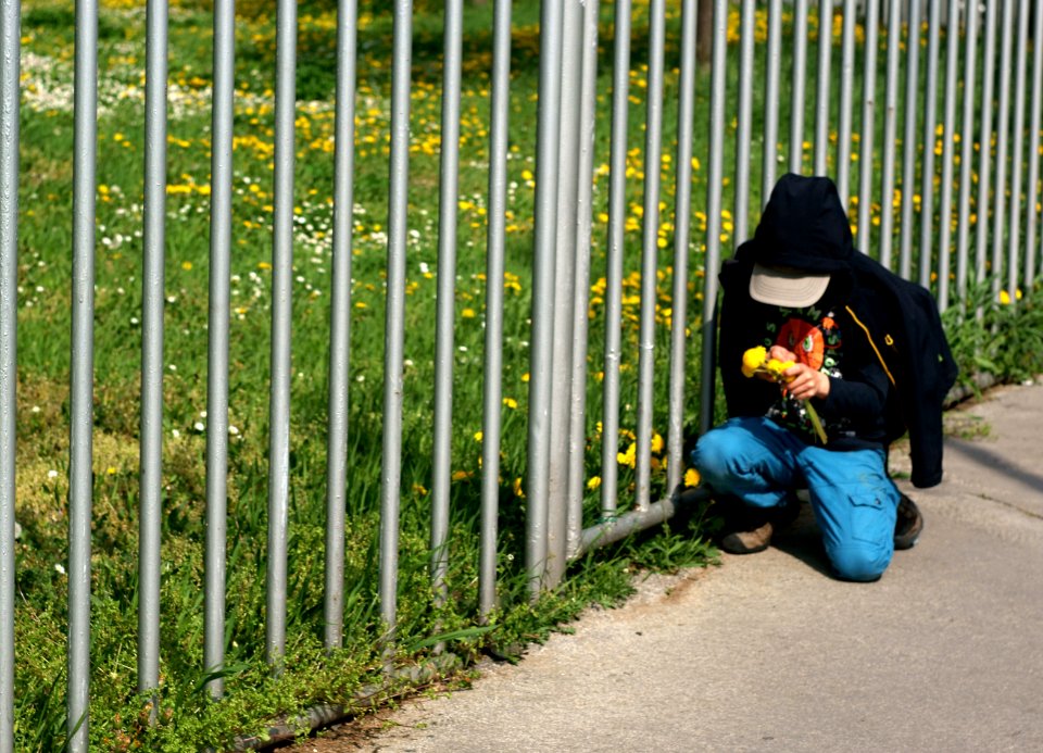 Sony Alpha A230 with Helios-44-2 - Boy with Dandelions