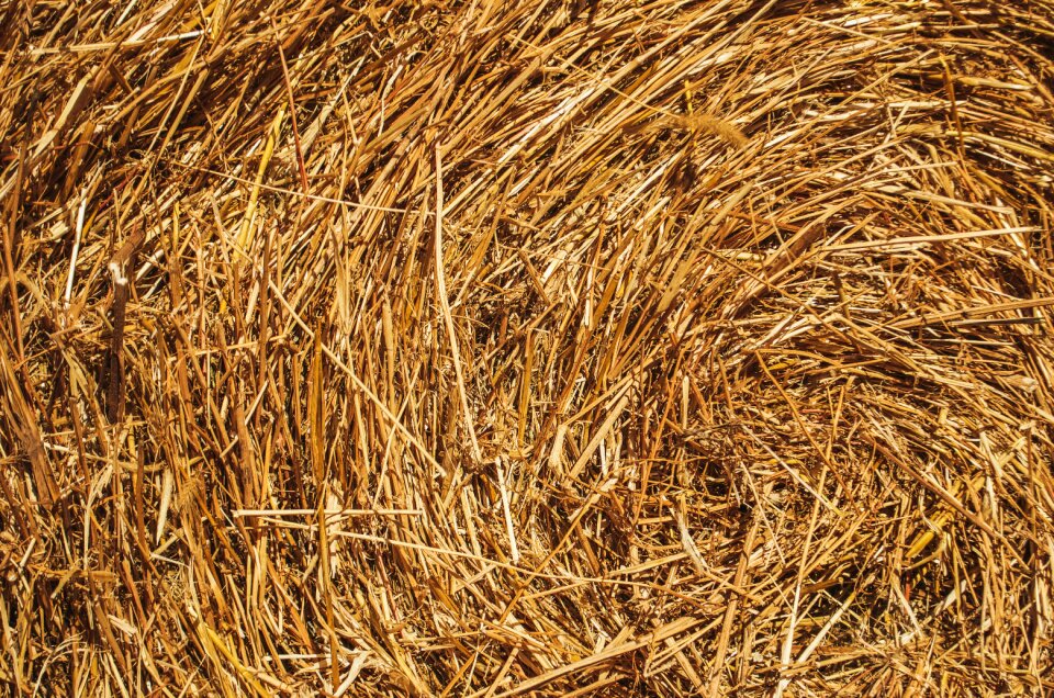 Countryside texture brown farm