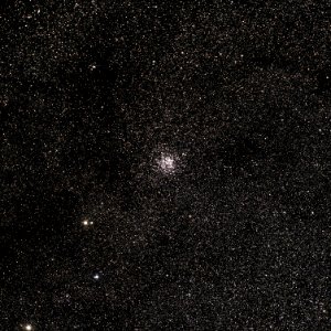 Messier 11 - The Wild Duck Cluster photo