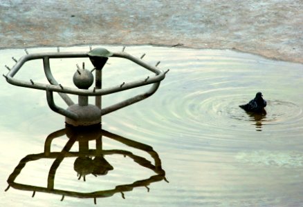 Sony Alpha A230 with Pentacon Electric 4/200 MC - Pigeon Bathing in Drying Fountain 1