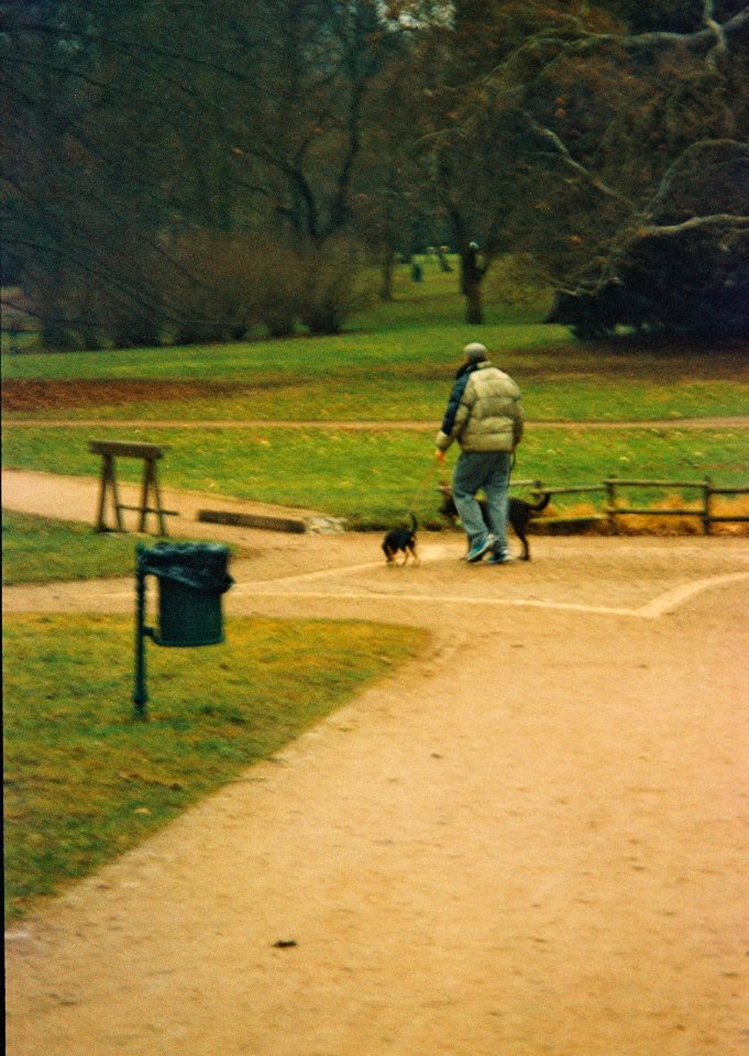 Pentax Espio 170SL - Man Walking the Dogs in the Park