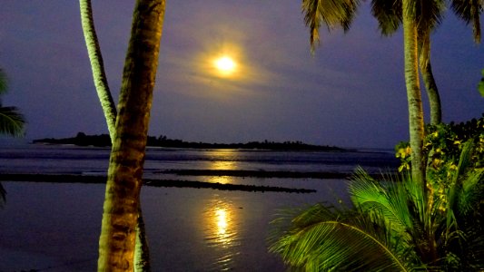 Maldives