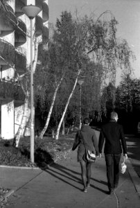 Vega II - Couple from Behind