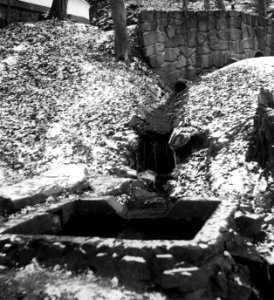 Agfa Billy Record 7.7 - St. Anthony's Chapel and Sourroundings (Brno-Lesná) 2