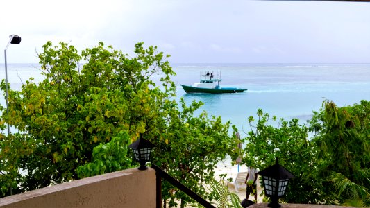 DSC02277
