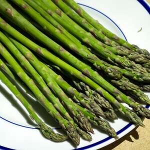 Healthy vegetable fresh