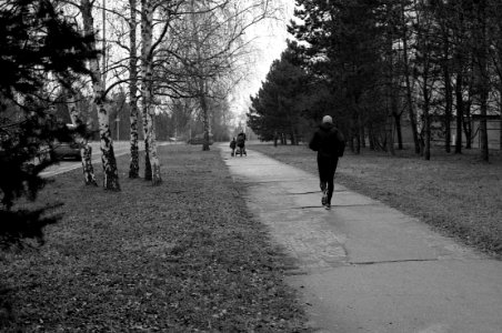 Canon EOS 30 - Jogger 1