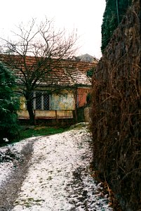 Praktica MTL3 + Edixa-Iscotar - Písečník Colony 1