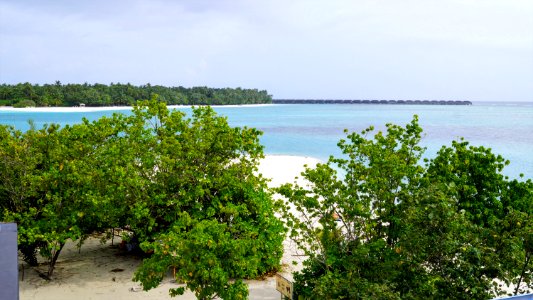 DSC02284