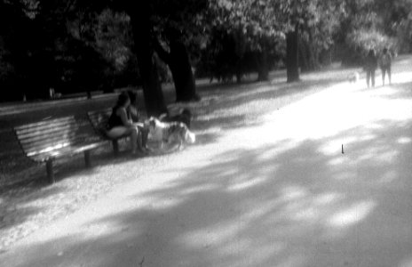 Penti - People with Dogs in the Park