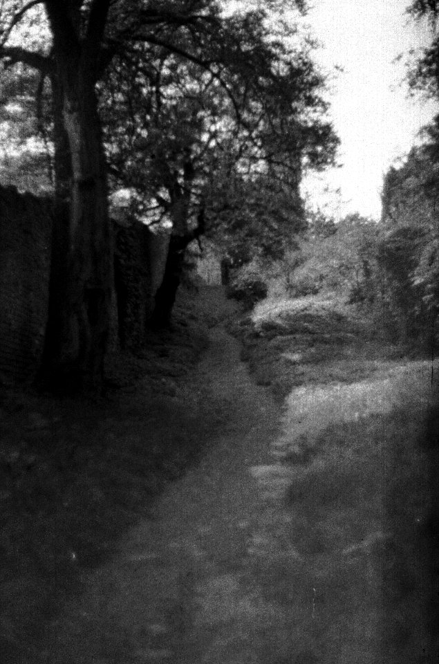 Praktica BC1 - Path to the Yellow Hill (Žlutý kopec) 3