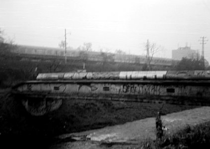 Zeiss Ikon Box Tengor - Former City Slaughterhouse at Svitava River in Foggy Day 1