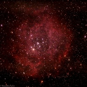 The Rosette Nebula