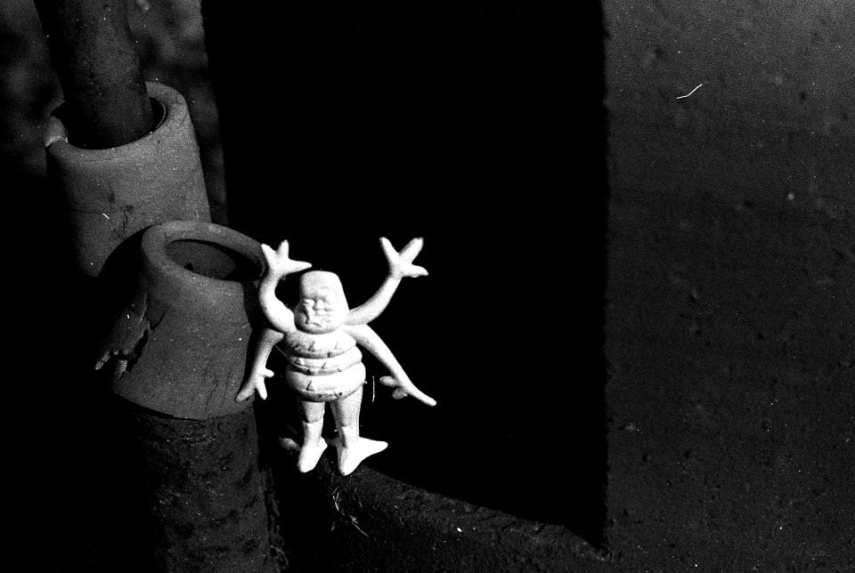 Ricoh TLS 401 with Helios 44-2 - Little Inhabitants of Abandoned Places 04