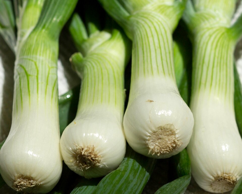 Spring food healthy