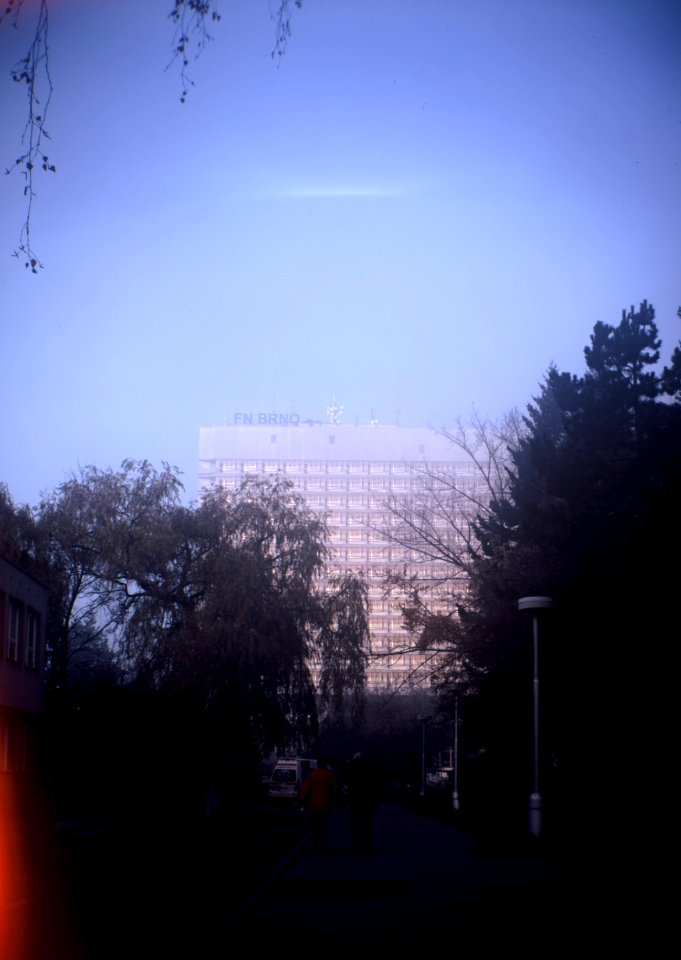 Portrait Brownie No2 - Hospital Path 2
