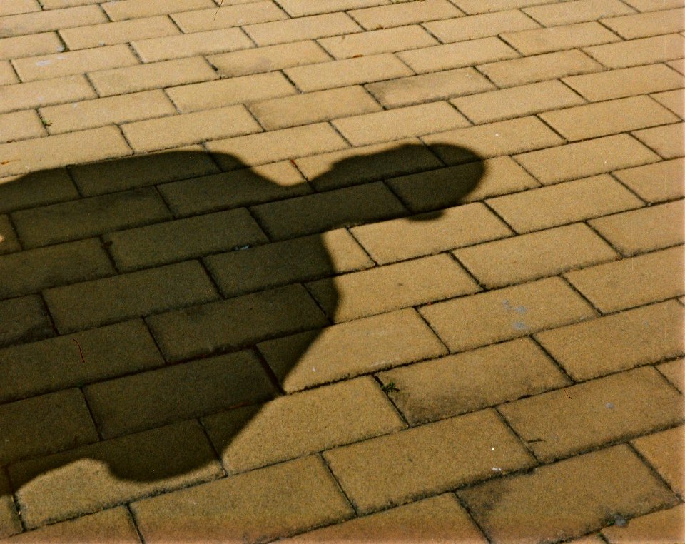 Pentacon Electra - Shadow