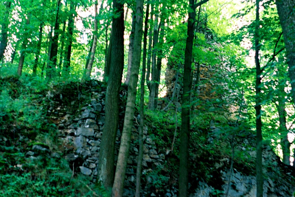 Exa + Tessar 2,8/50 - Ruins of Blansek Castle 1