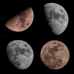 First Lunar Collage of 2015