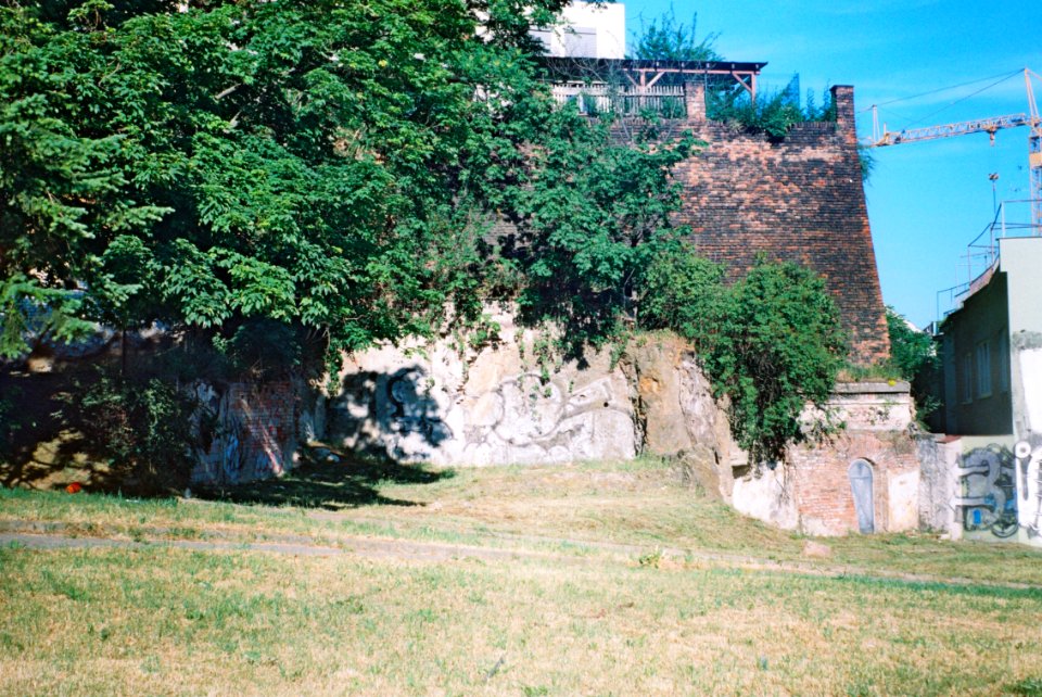 Pentacon Electra - Old Walls 2