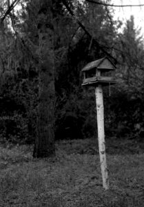 Kiev 4 + Jupiter-8M 53/2 - Feeder 1