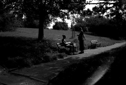 Lomo 135VS - Park on Kraví Hora Hill 2