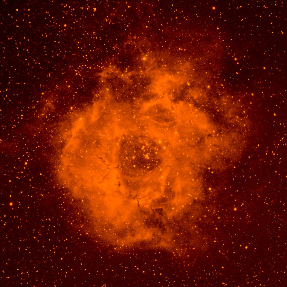Rosette Nebula in Hydrogen-alpha